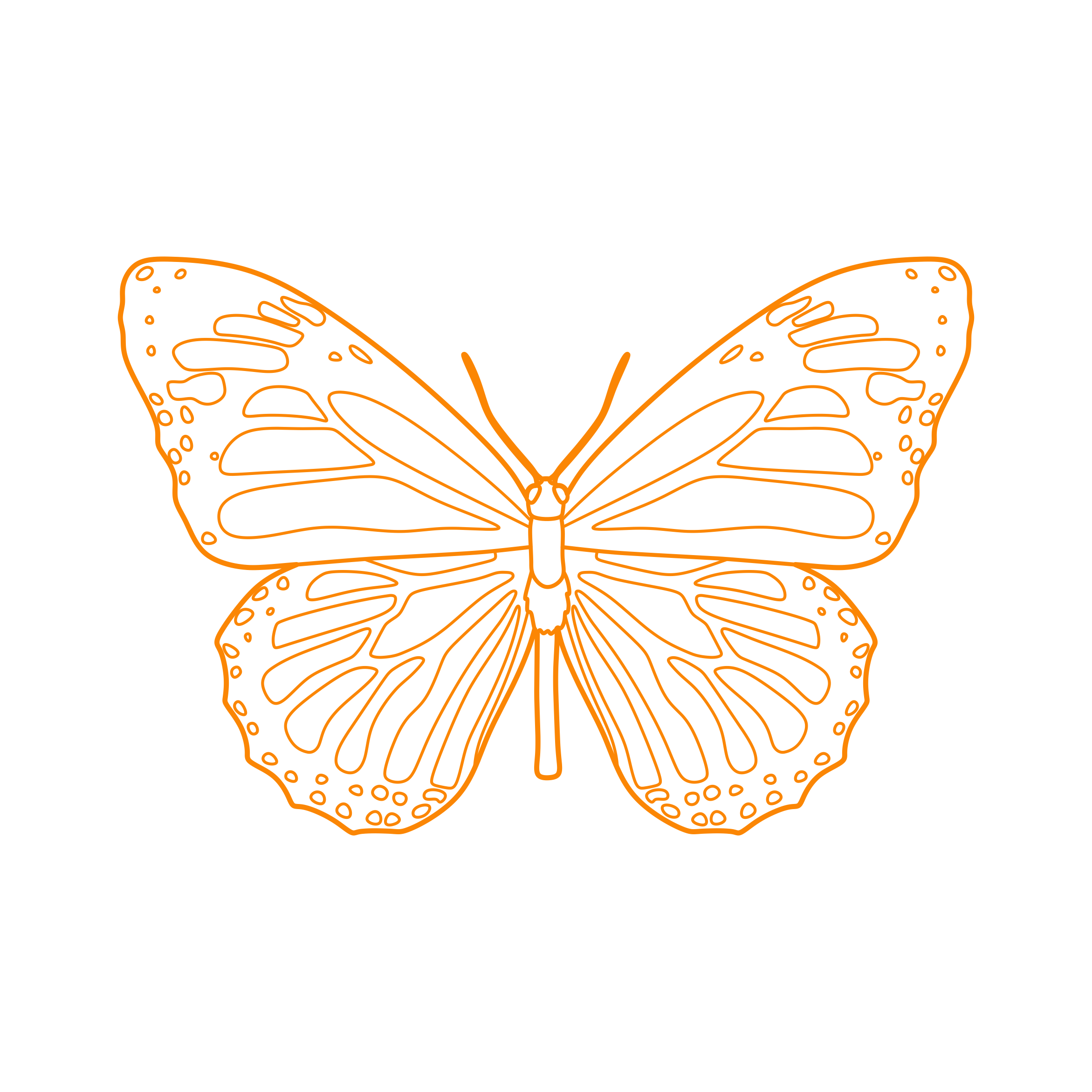 Animals Insects Monarch Butterfly Sketch Style Svg Vector Free Vectors